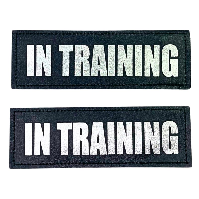 Albcorp Reflective In Training Patches with Hook Backing for Service Animal Vests /Harnesses Large (6 X 2) Inch - Image 1